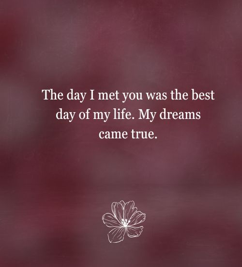 The Day I Met You Quotes