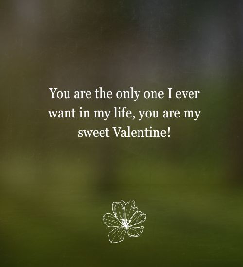 Valentine’s Day Quotes For Wife