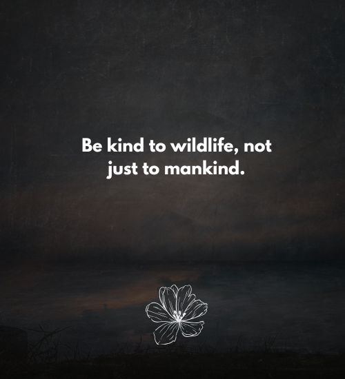 Wildlife conservation quotes