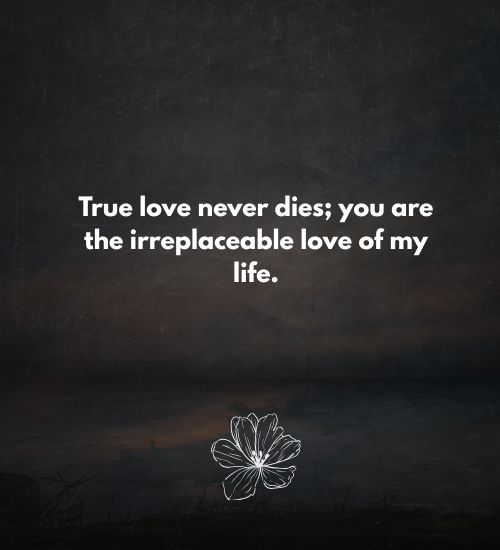 You Are Irreplaceable Quotes