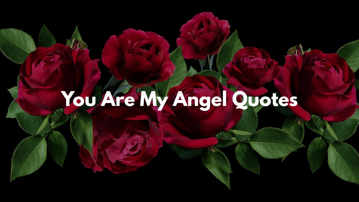 You Are My Angel Quotes