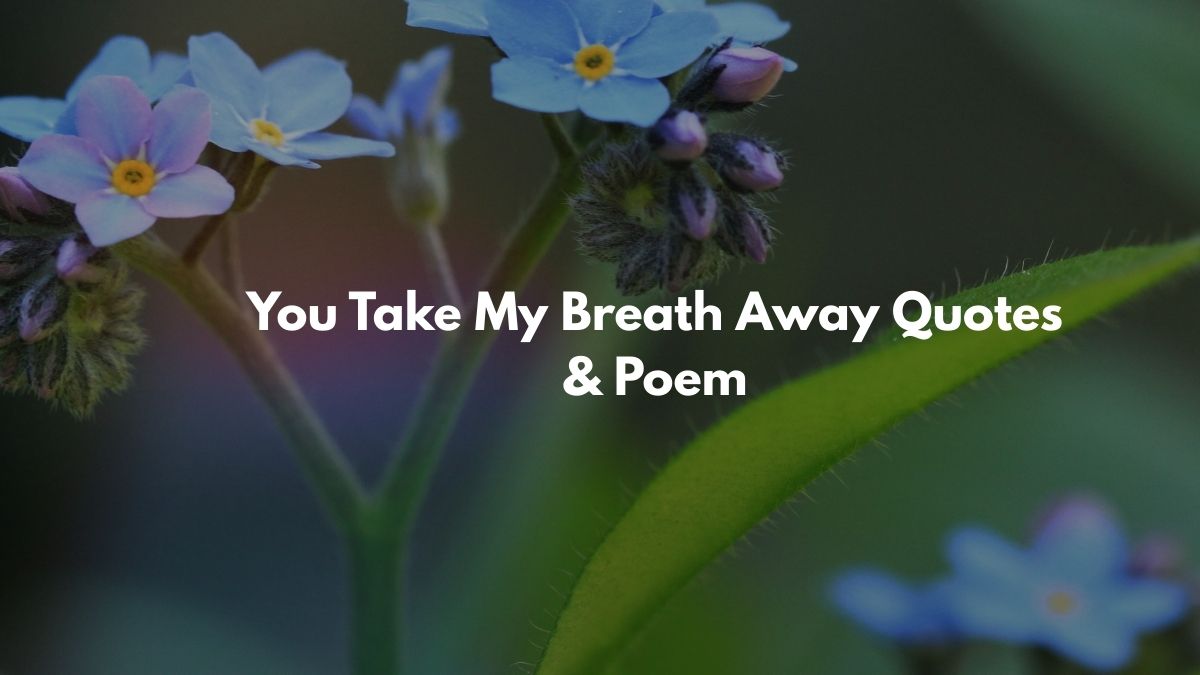 You Take My Breath Away Quotes & Poem
