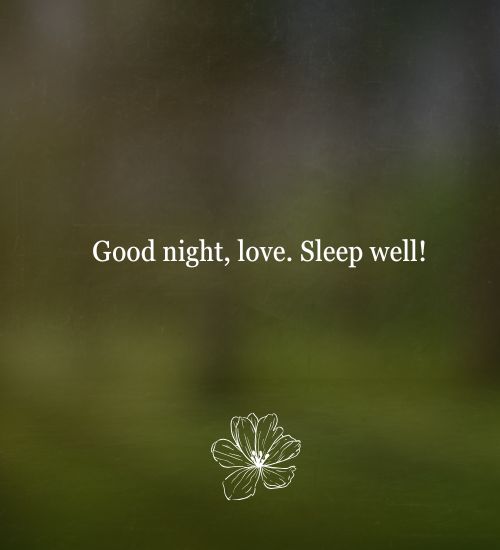 Goodnight message to my boyfriend