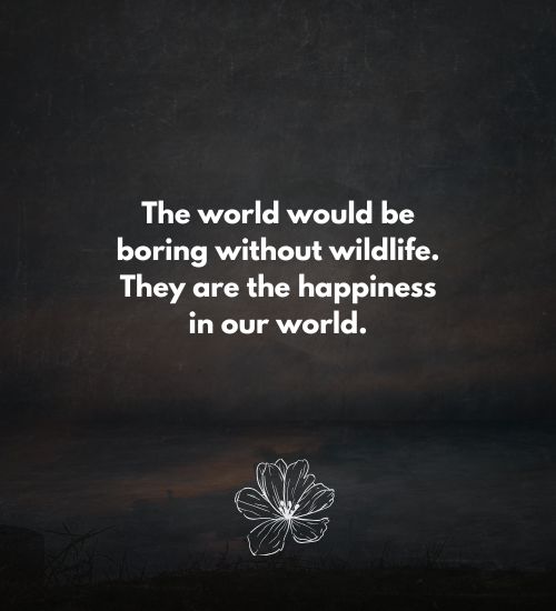 quotes on wildlife protection